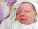 Zdjęcie: DSCF6677.JPG