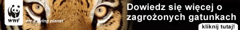 Dowiedz się więcej o zagrożonych gatunkach